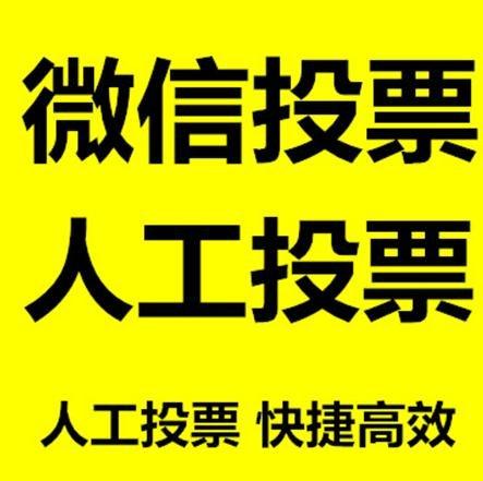 阳泉市投票活动拉票能被查出来吗？如何操作能不被发现？